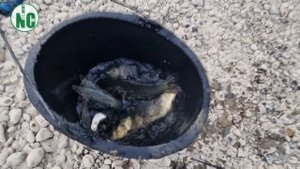 FISHING IN A DRYING LAKE UZBEKISTAN | РЫБАЛКА НА ПЕРЕСЫХАЮЩЕМ ОЗЕРЕ.УЗБЕКИСТАН| BALIQ OVI