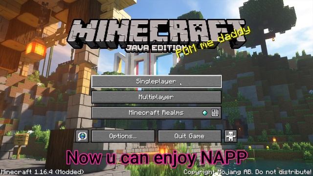 How to Download/Install NAPP resource pack in Minecraft 1.16.4 - Java Edition смотреть онлайн