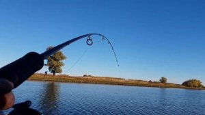 Щука клевала, но судак сделал этот день!!! Рыбалка Астрахань, октябрь 2018