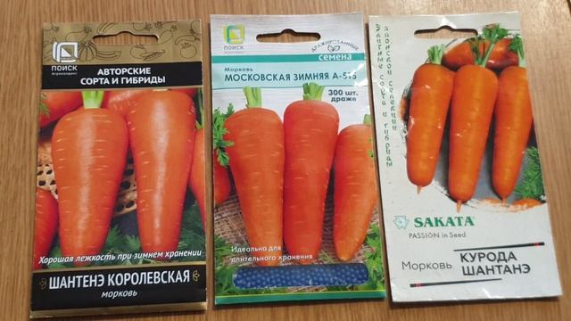 Самые надёжные семена моркови. Двойная защита от морковной мухи. смотреть онлайн