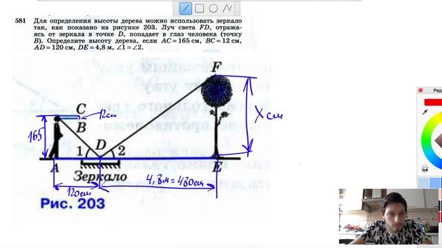 №581. Для определения высоты дерева можно использовать зеркало так, как показано на рисунке 203 смотреть онлайн