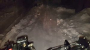 Снегоход Динго Т125