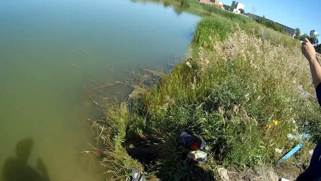 Яровое рыбалка Алтай