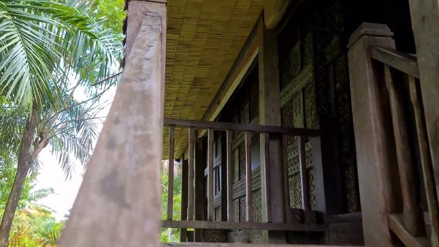 [4K] Bali bird park in early 2022||situation in bali bird park part#1 смотреть онлайн