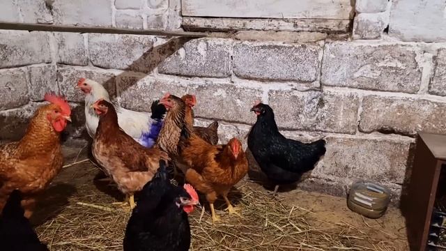 почему их нужно срочно всех убрать? смотреть онлайн