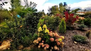 Прогулка по моему саду Часть 6 Обзор растений Сентябрь 2022