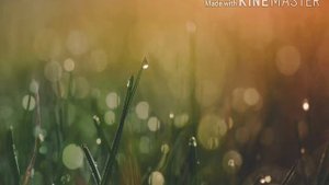 Патимат Меджидова __ Новинка 2020