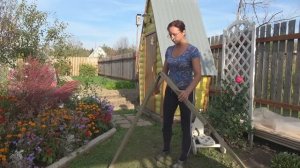 6 соток 30 сентября 2023 года. Хроника.