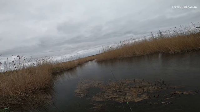 Весенняя Рыбалка на спиннинг! Щука брала жадно. смотреть онлайн