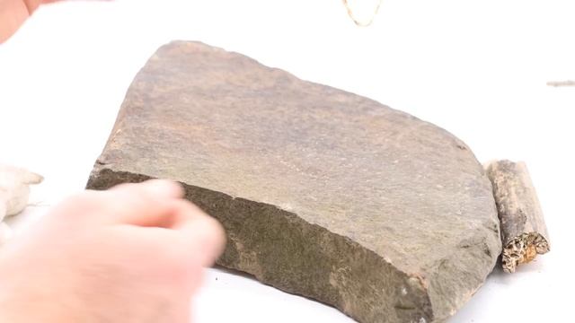 The PANDORA Deadfall Survival Trap. Mousetrap Monday. смотреть онлайн