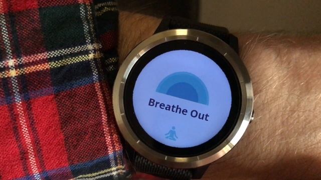 Garmin vivoactive 3 - breathe app review... смотреть онлайн