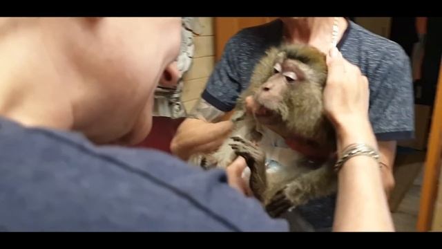 Зяма добрался домой/Zyama got home смотреть онлайн