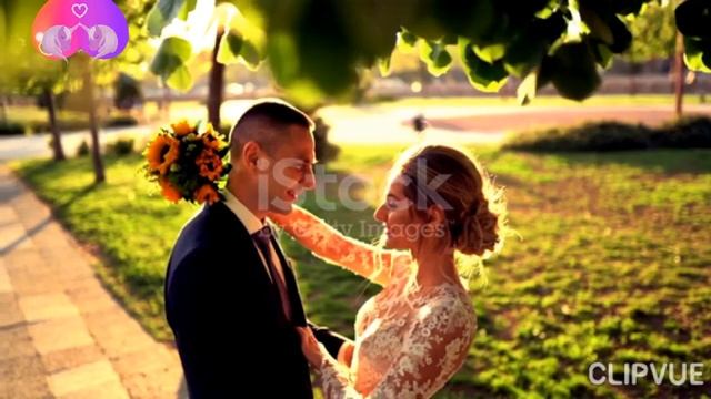 NEW 2023.В.Ждамиров.(Я подарю Тебе Цветы) смотреть онлайн