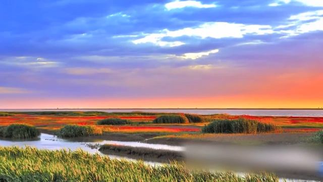 2 февраля отмечается Всемирный день водно-болотных угодий смотреть онлайн