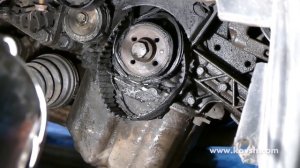 Последствия попадания порванного ремня генератора под ремень ГРМ на Fiat Doblo 1.9JTD