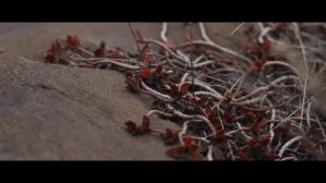 Экскурсия на гору Магнитную