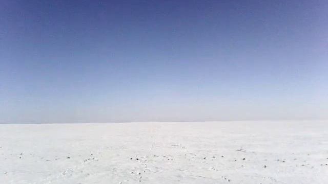 Охота с борзыми х.фирсовка Чернышковский р-он