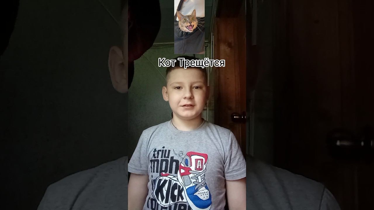 Кот Трищит #shorst смотреть онлайн