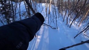 Тест фотоловушки SUNTEK HC900A в мороз -33°С | Test of the camera trap SUNTEK HC900A in frost -33 °