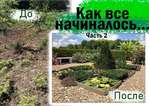 Как все начиналось, 2 часть. Сад Руслана Хупова, продолжение.
