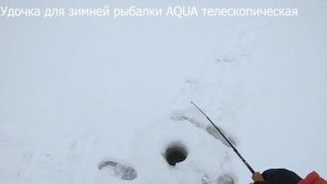 Удочка для зимней рыбалки AQUA телескопическая