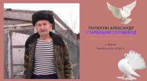 Пилюгин Александр Петрович _ Старейший Варненский голубевод.mp4