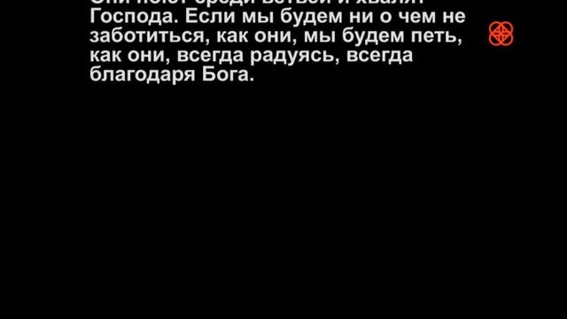 7 июля Остановись, послушай Евангелие смотреть онлайн