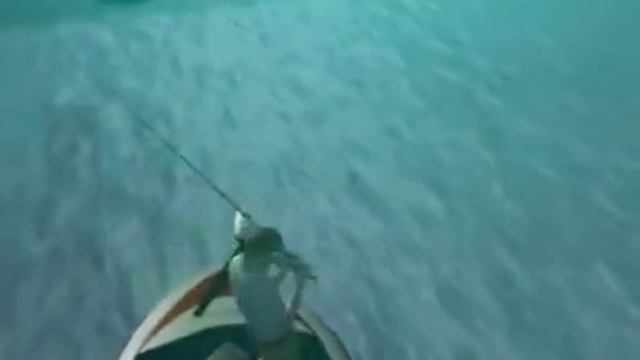 FISH ON 3D - Official Trailer смотреть онлайн