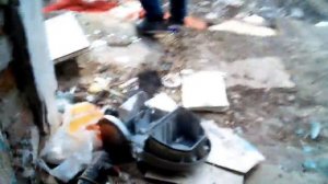 Соликамск, Боровск, городская заброшенная больница.