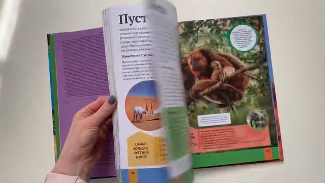 Детская энциклопедия планеты Земля смотреть онлайн