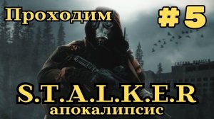 Уютный ламповый стрим. S.T.A.L.K.E.R Апокалипсис. Всем фанатам посвящается)