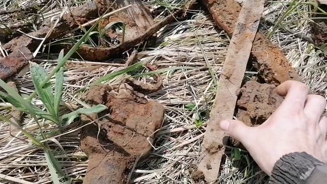 метталлокоп 2022... и обзор моей баньки.