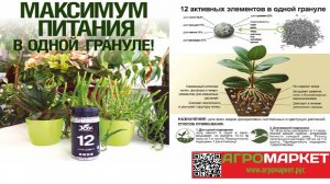 Удобрение гранулированное Zola Aktiv 12 Joy | Агромаркет