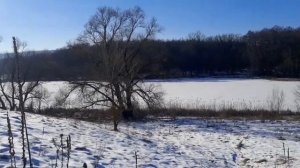 ХОТЬ КОРМИ, ХОТЬ НЕ КОРМИ.../ ДЕРЕВЕНСКИЙ ЭХОЛОТ. ЗИМНЯЯ РЫБАЛКА. часть 2