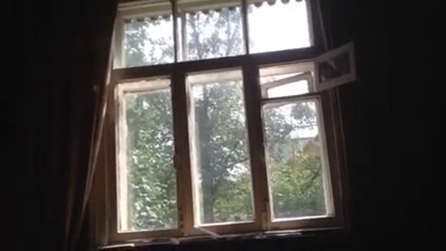 Ламповый усилитель 300 B и аудиогеометрия