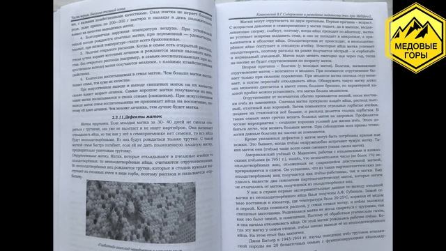 В.Г. Кашковский "Самый легкий и простейший метод вывода маток"