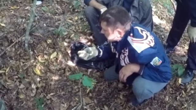 Поисковое движение России смотреть онлайн