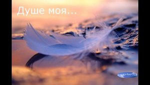 "Душе моя.." хоровое пение автор Пушков Е.Н. #мсцехб #христианская музыка