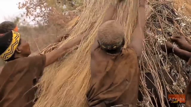 Женские обязанности в племени химба смотреть онлайн