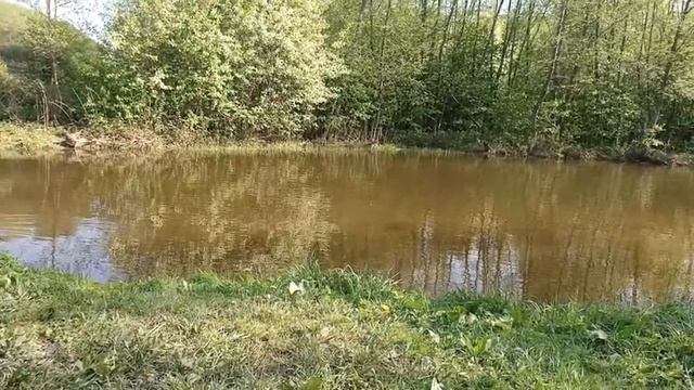 Купил Дачу Своей Мечты Детства после работы пошёл купаться смотреть онлайн