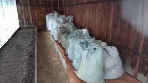 Удобрение на пшеничной соломе..