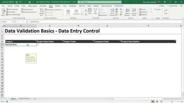 Excel Data Validation Controls : Sinhala ▶ Excel Basics - Episode 04(Sinhalen)