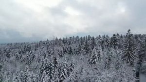 Зимние пейзажи.Горы.Леса.