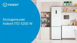 Холодильник Indesit ITD 5200 W - обзор модели