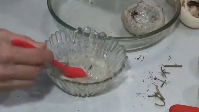 Грибы в духовке с сырной начинкой-простой, вкусный рецепт смотреть онлайн