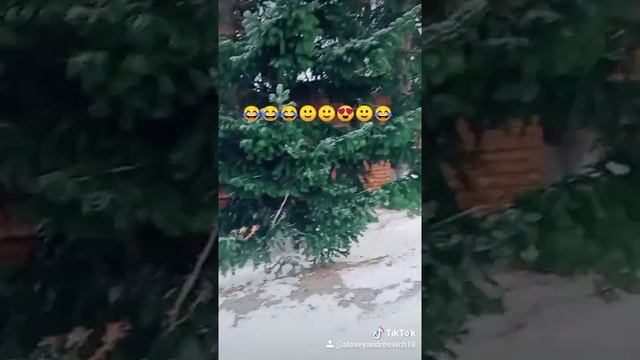 Анегдот от галыгина полная ржака смотреть онлайн