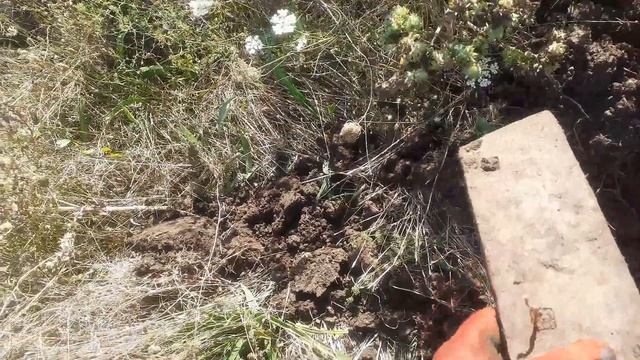 КОП МЕТАЛЛОЛОМА С VANQUISH 340 смотреть онлайн