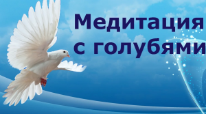 Медитация с голубями