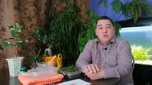 ? АДЕНИУМ ИЗ СЕМЯН