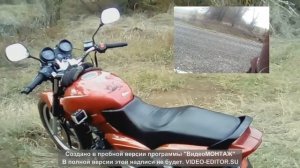 Stels Delta 200 общие сведения, мини обзор